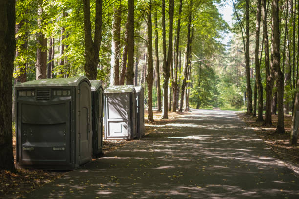 Best Portable sink rental  in South Rockwood, MI